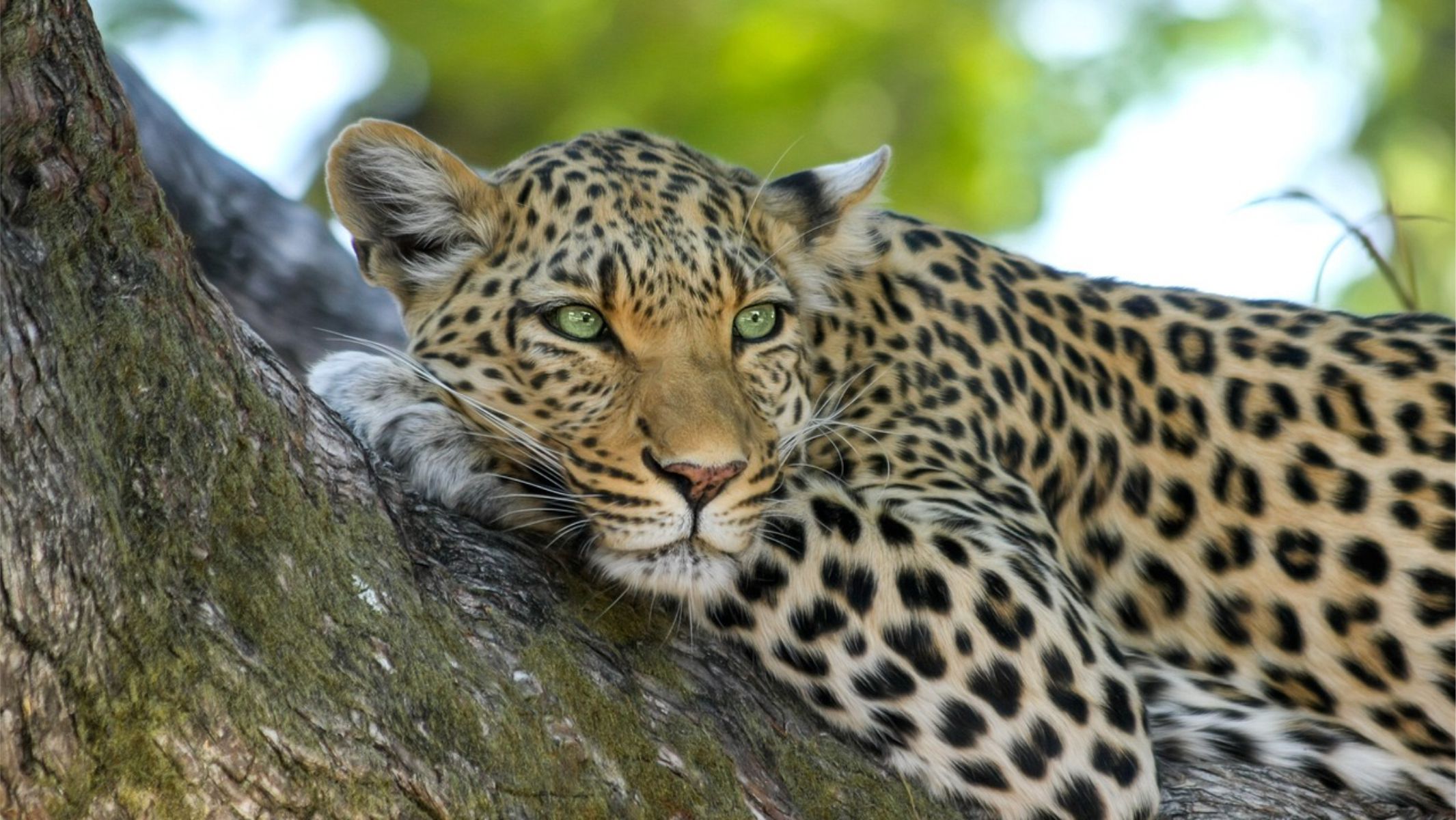 Botswana