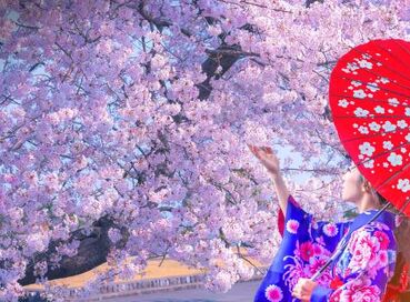 Sakura Dönemi'nde Japonya Turu