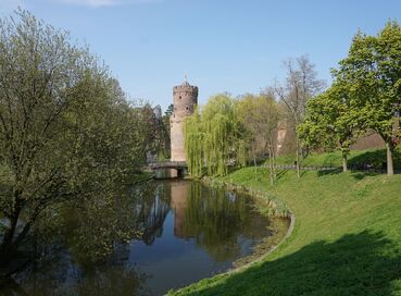 Ren Nehri’nde Hollanda, Almanya (Charter) (1)