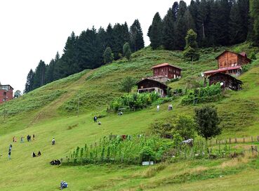 Uçaklı Batumlu Karadeniz Turu