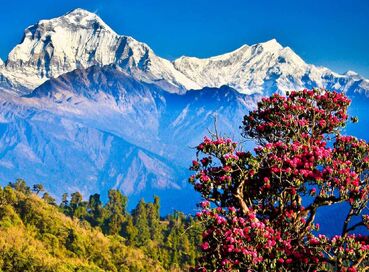 Himalayanın Eteklerinde Nepal ve Nagarkot