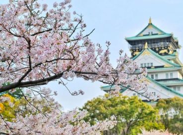 İstanbul Çıkışlı Sakura Zamanında Japonya & Kore Turu Tüm Turlar Dahil