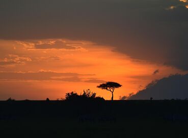 Kenya’da Safari ve Zanzibar’da Okyanus