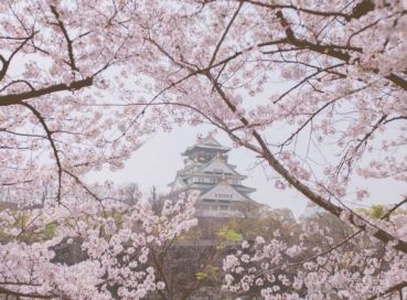 İstanbul Çıkışlı Sakura Zamanında Büyük Japonya & Kore Tüm Turlar Dahil
