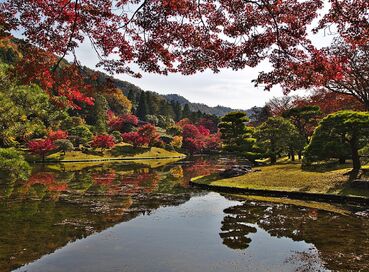  Sakura Dönemi’nde Japonya ve Kore Turu