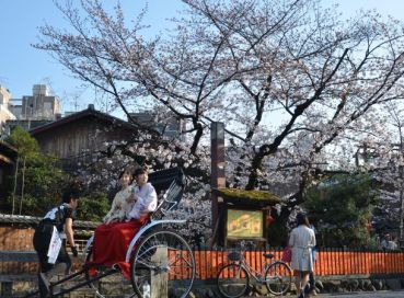 Antalya Çıkışlı Sakura Zamanında Büyük Japonya & Kore Tüm Turlar Dahil