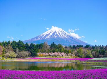 Japonya ve Kore Turu