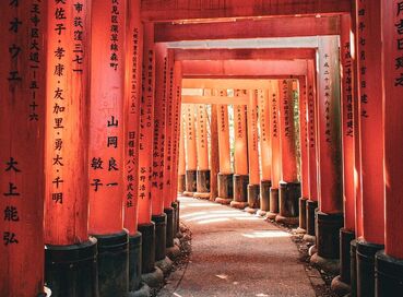 Japonya ve Kore Turu