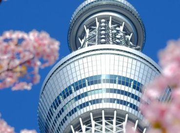 İzmir Çıkışlı Sakura Zamanında Büyük Japonya & Kore (Kampanya)