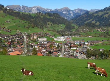 İzmir Çıkışlı Sömestrde Golden Pass Treni İle Alpler, İsviçre ve Alsace-Colmar Turu