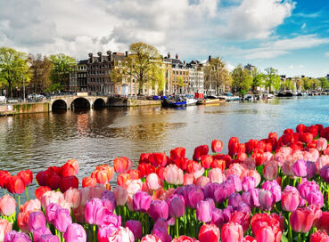 İzmir Çıkışlı Bayrama Özel Belçika & Hollanda Turu (3 Gece)