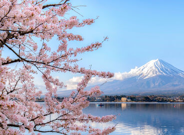 Sakura Döneminin Büyülü Rotası Japonya & Kore Turu (Tüm Turlar Dahil)