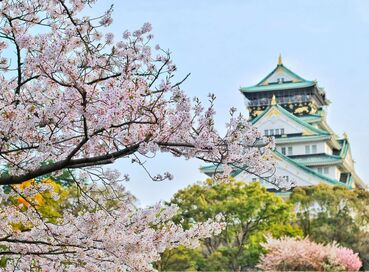 Sakura Döneminin Büyülü Rotası Japonya & Kore Turu (Kampanya)