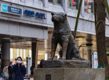 İstanbul Çıkışlı Sömestr Özel Japonya & Kore Turu Tüm Turlar Dahil