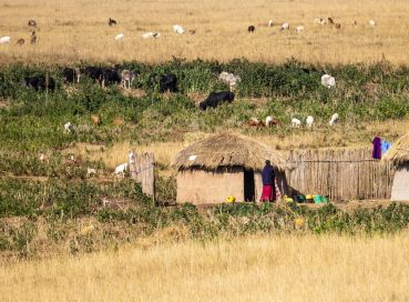 Büyük Göçler Zamanı Kenya ve Zanzibar