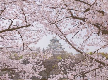 İstanbul Çıkışlı Sakura Zamanında Japonya & Kore Turu Tüm Turlar Dahil