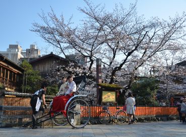 İstanbul Çıkışlı Sakura Zamanında Büyük Japonya & Kore Tüm Turlar Dahil