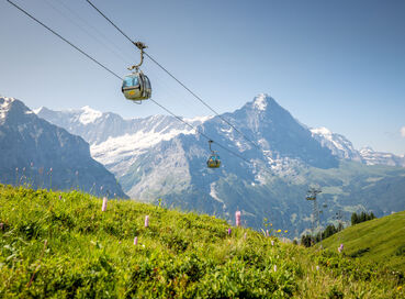 Antalya Çıkışlı Ramazan Bayramına Özel Tren ve Teleferik ile Alp Dağları Zirvesi & Alsace Colmar Turu