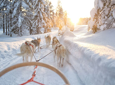 İzmir Çıkışlı Sömestre Özel Lapland Kuzey Işıkları (Kampanya - 4 Gece )