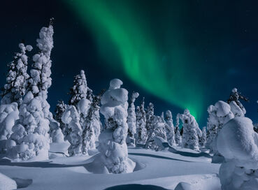 İzmir Çıkışlı Sömestre Özel Lapland Kuzey Işıkları (Kampanya - 4 Gece )