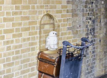 Antalya  Çıkışlı İngiltere & İskoçya (Harry Potter Turu Dahil)