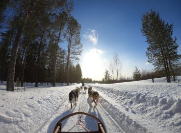 Lapland; Igloo Konaklama ve Buzkıran Turu (1)