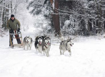 Lapland; Yılbaşı’nda Noel Baba’nın Evi