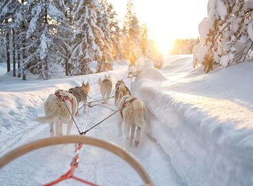 Lapland; Yılbaşı’nda Noel Baba’nın Evi