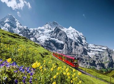 İzmir Çıkışlı Noel Pazarları Özel Tren ve Teleferik ile Alp Dağları Zirvesi & Alsace – Colmar Turu