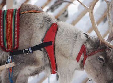 Antalya Çıkışlı Sömestr Özel Kuzey Işıklarının İzinde Lapland Turu Kampanya (6 gün 5 Gece)