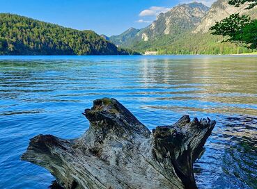 Bavyera & Salzburg & Hallstatt