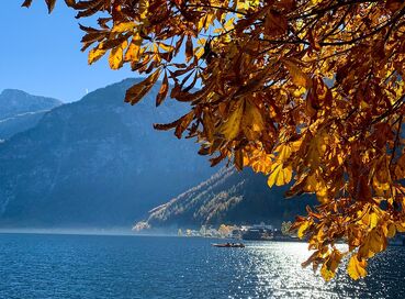 Bavyera & Salzburg & Hallstatt