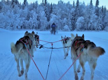 Lapland; Noel Baba'nın Evi ve Buzkıran Gemisi