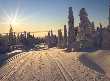 Lapland Igloo Konaklamalı Exclusive ve Buzkıran Turu