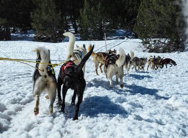 Lapland Igloo Konaklamalı Exclusive ve Buzkıran Turu