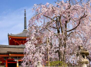 Japonya; Uzak Doğu'nun Kültür Cenneti (2)