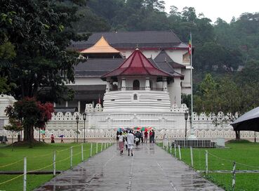 Sri Lanka & Yala Ulusal Parkı (2)