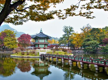 Japonya & Kore Turu (1)