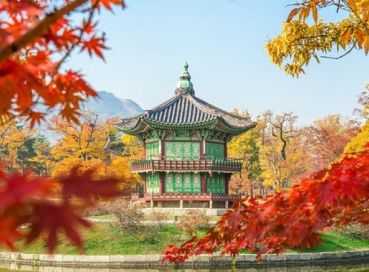 Koyo Zamanı; Japonya ve Kore (2)