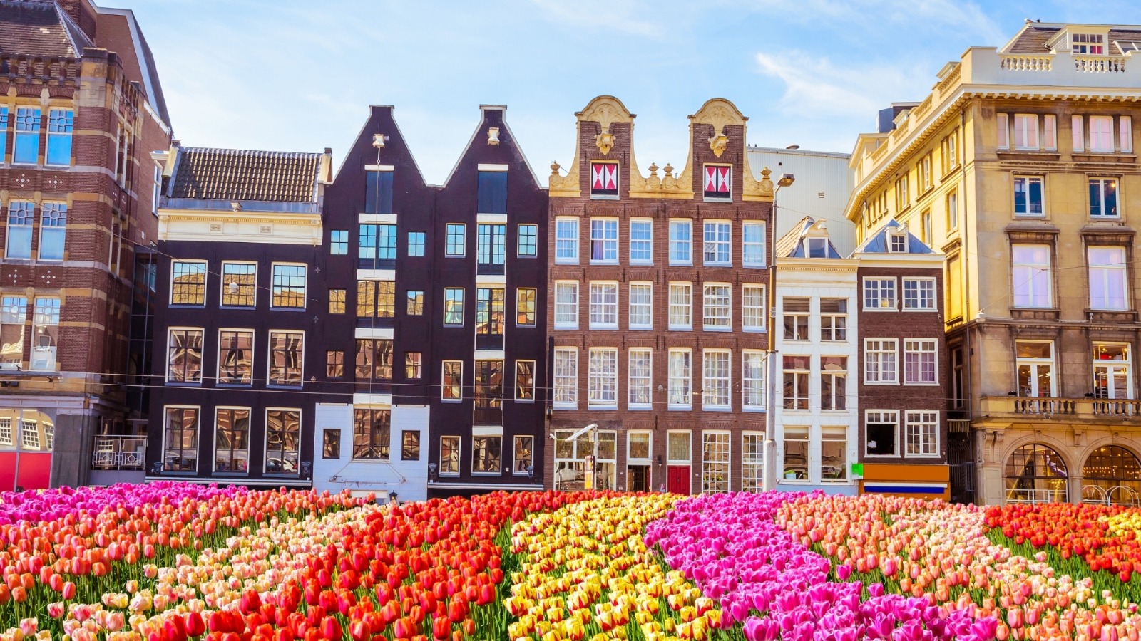 Lale Dönemi'nde Ren Nehri Almanya & Belçika & Hollanda Turu (Ultra Her Şey Dahil) (V)