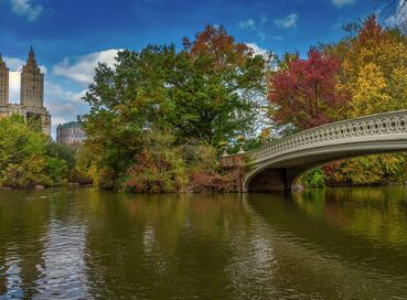 Washington, Niagara Şelalesi, New York ve Boston