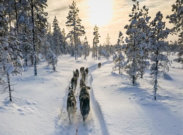 İzmir Çıkışlı Sömestre Özel Lapland Kuzey Işıkları (Tüm Turlar Dahil- 4 Gece Olof Otel)