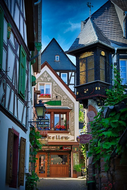 Ren Nehri’nde Almanya, Fransa ve İsviçre (Tüm Turlar Dahil) (1)